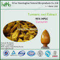 New arrived turmeric extract water soluble curcumin